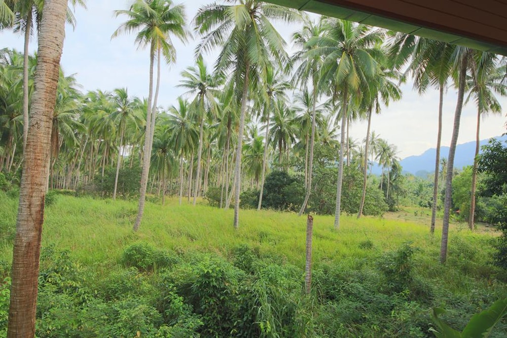 Tropical Season Villa Resort 28/34