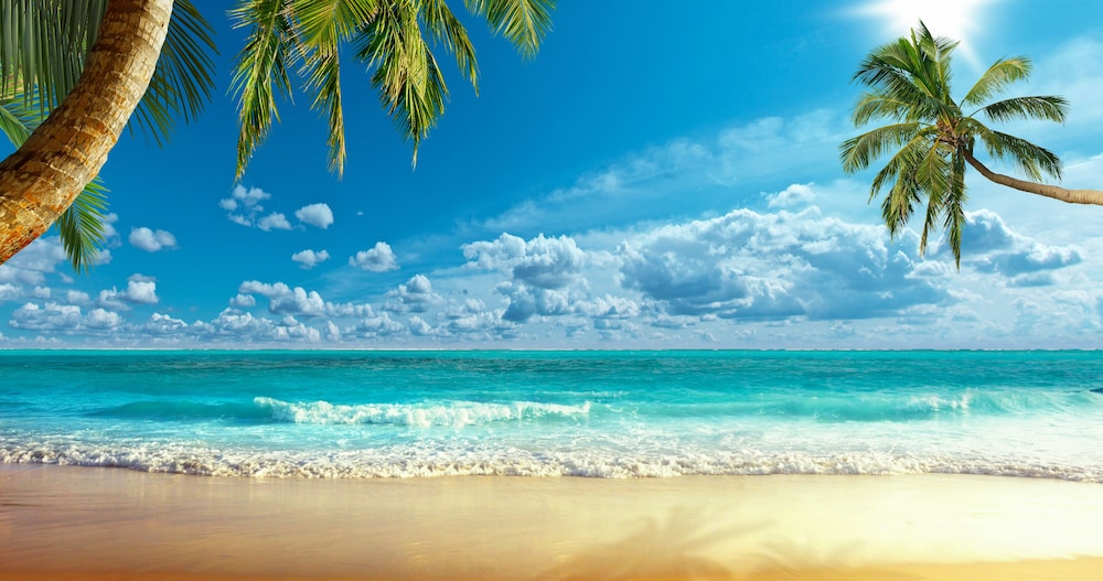 Palm Beach Singer Island Resort and Spa Luxury Suites 37/50