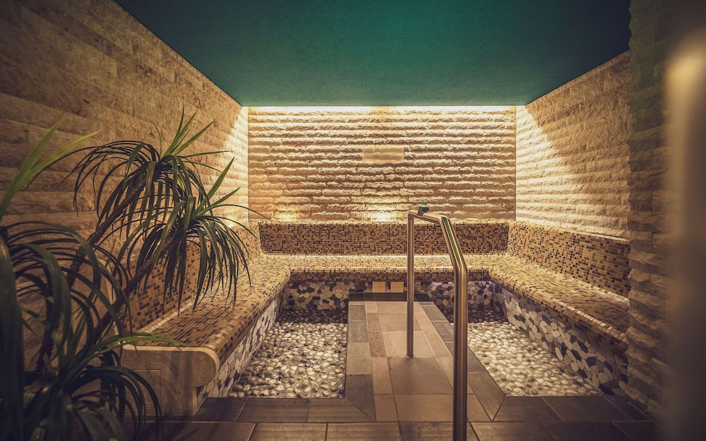 Mountain Plaza Hotel 21/43