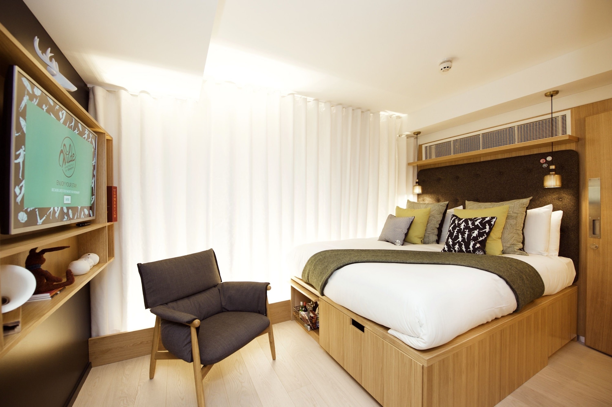 Basement, Studio, King Bed, No Window