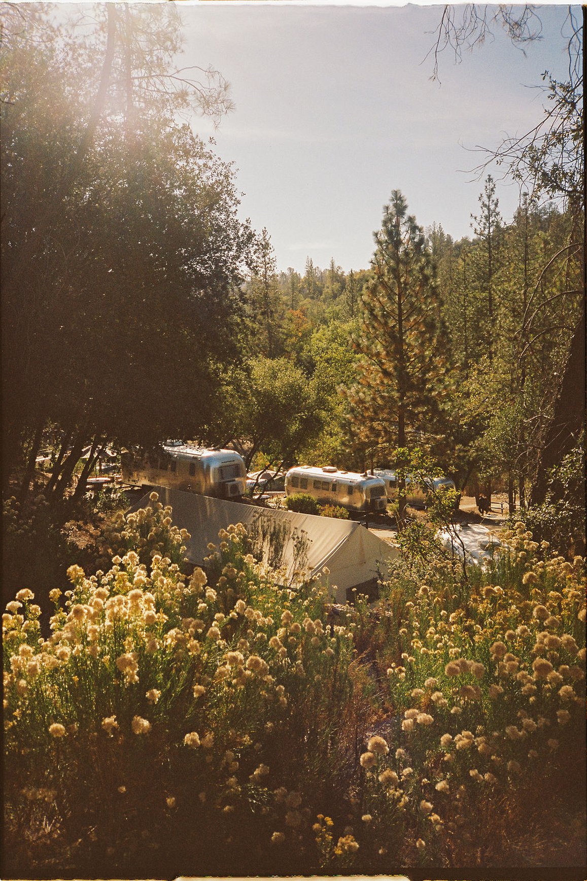 Autocamp Yosemite 67/84