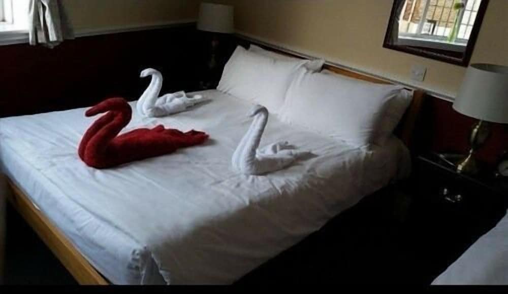The Swan Inn 16/32