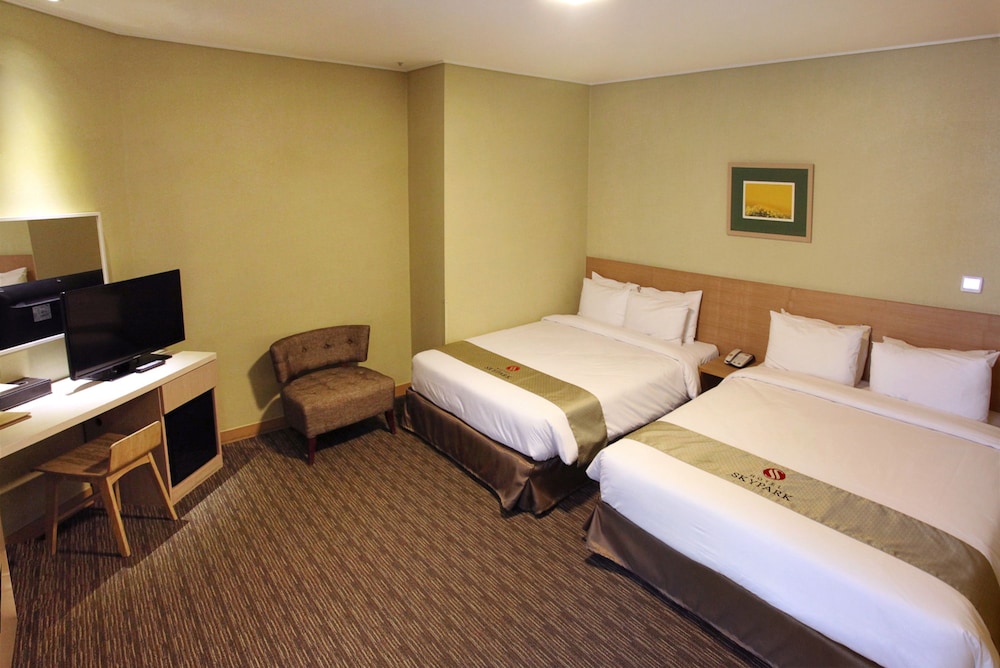 Hotel Skypark Central Myeongdong 17/44