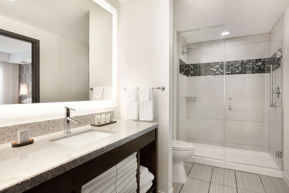 Embassy Suites By Hilton Atlanta Ne Gwinnett Sugarloaf 13/50