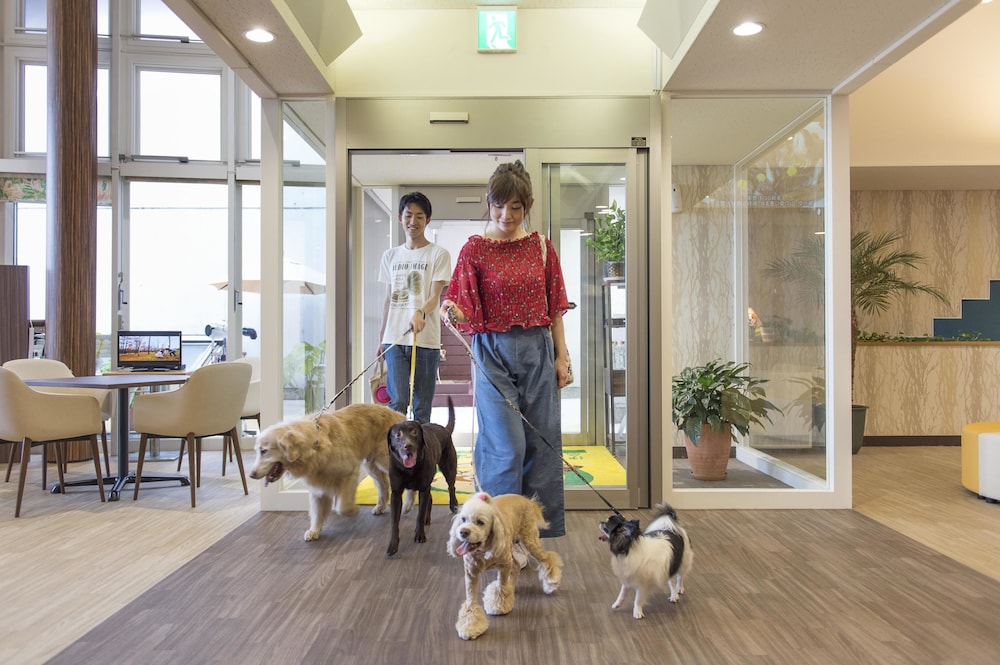 Izumigo Izukogen Dog Paradise Hotel 28/38