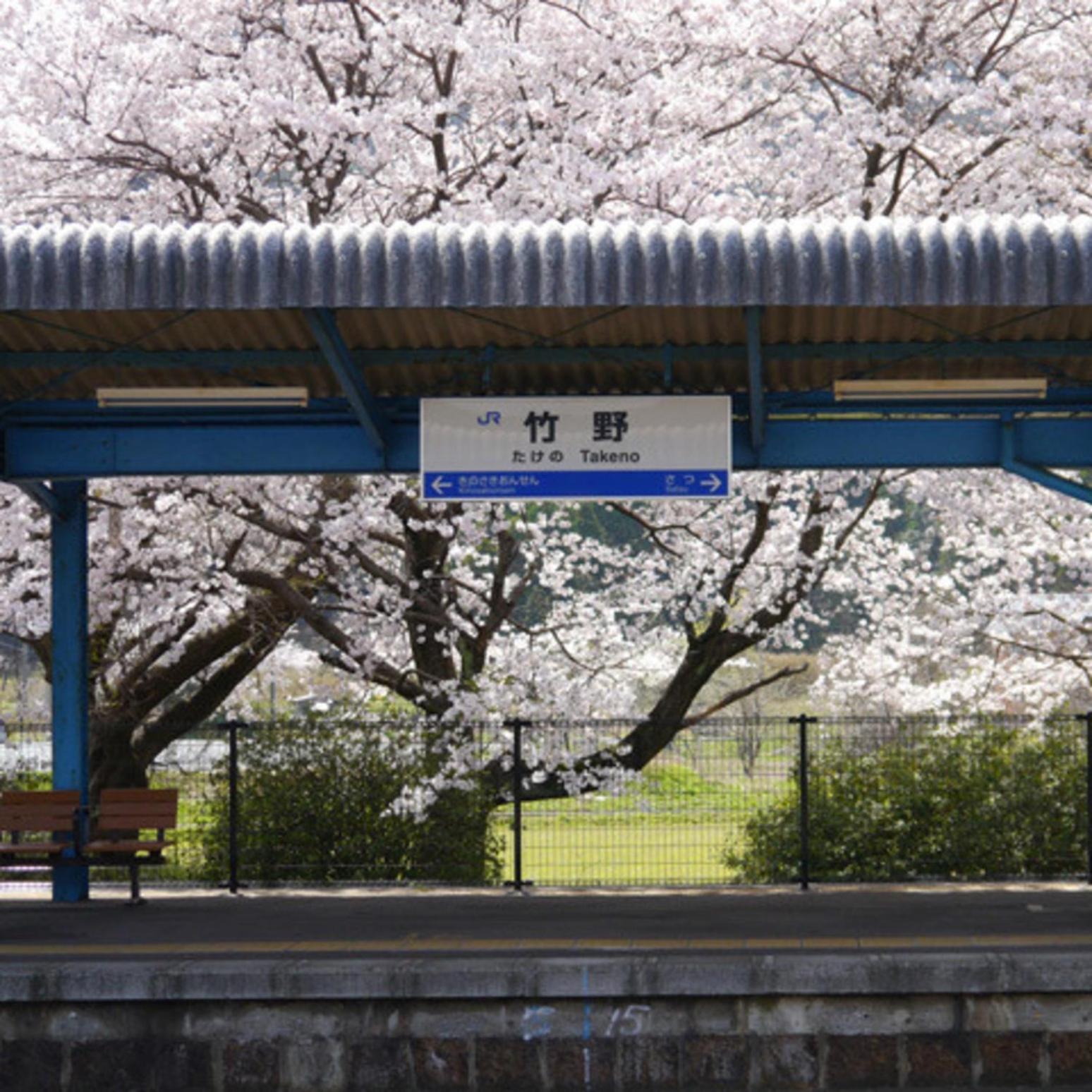 Kyukamura Takeno-Kaigan 22/37