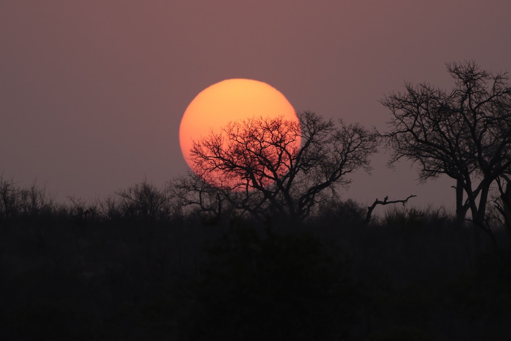 Doringpoort Safari Lodge(PTY)LTD 41/50