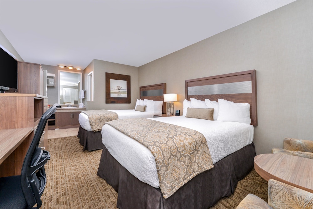 Best Western Plus Anaheim Inn 23/59