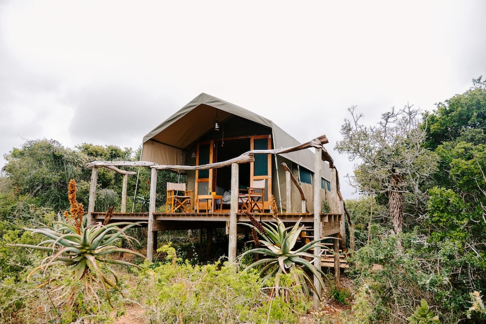 Amakhala Woodbury Tented Camp 1/33