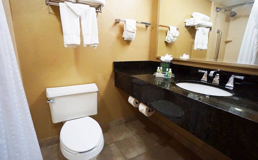 Holiday Inn Corpus Christi Downtown Marina 22/57