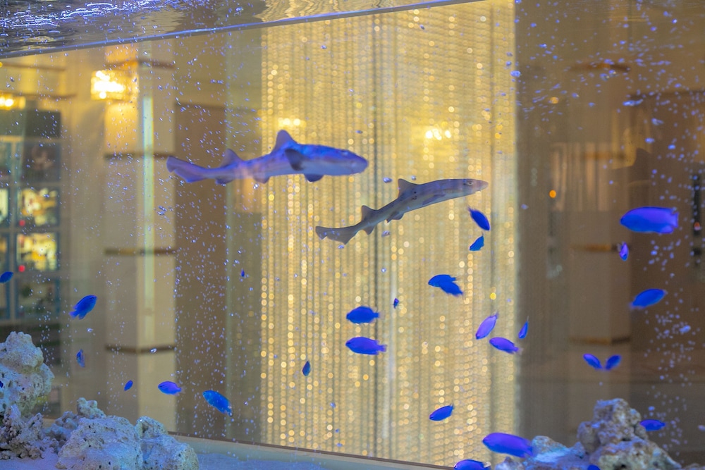 Hotel Atlantis Otsu - Adults Only 4/55