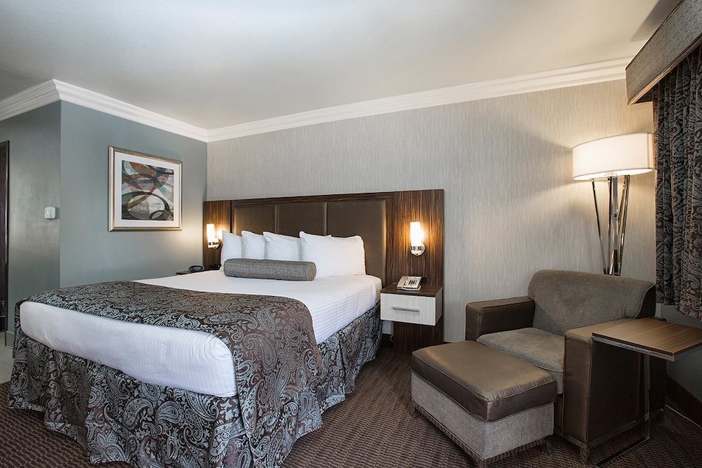 Best Western University Inn Santa Clara 12/55