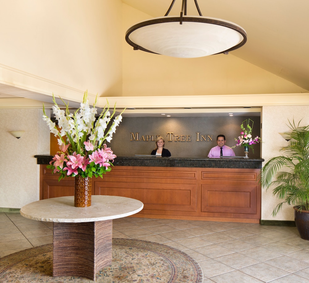Maple Tree Inn 6/40