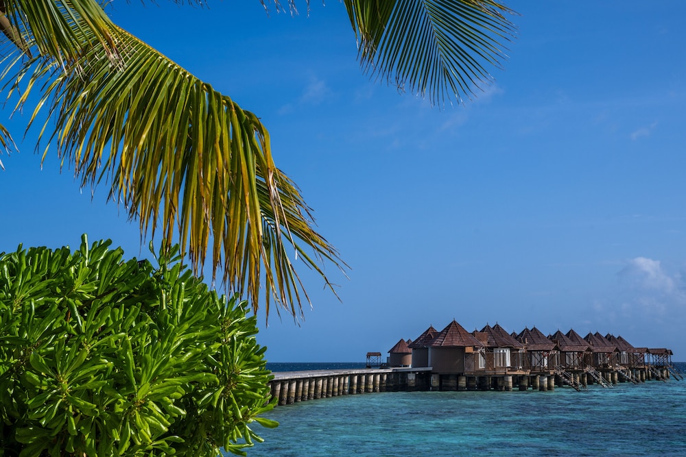 Nika Island Resort & Spa, Maldives 55/67