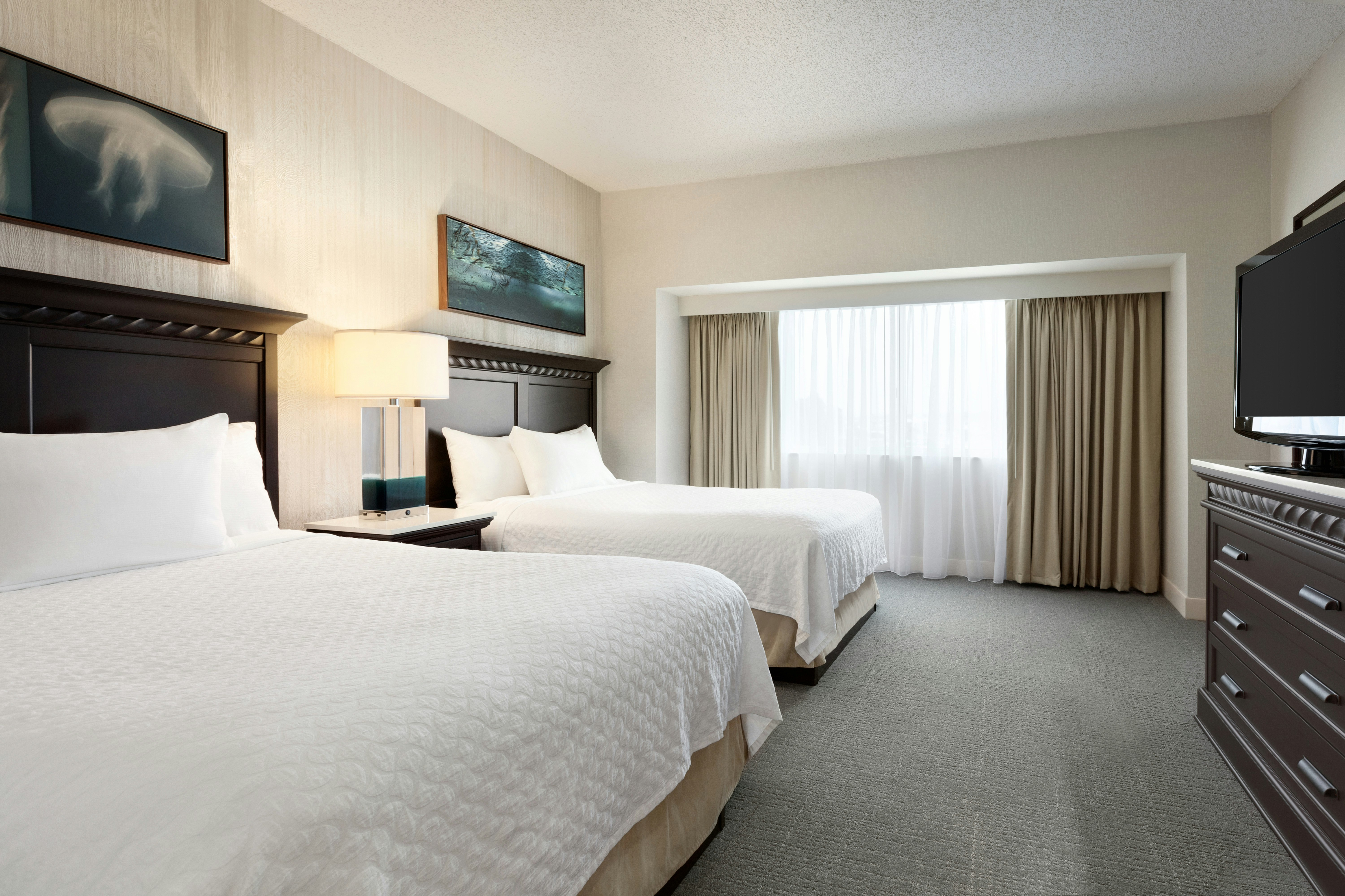 Pure, Suite, 2 Double Beds, Accessible