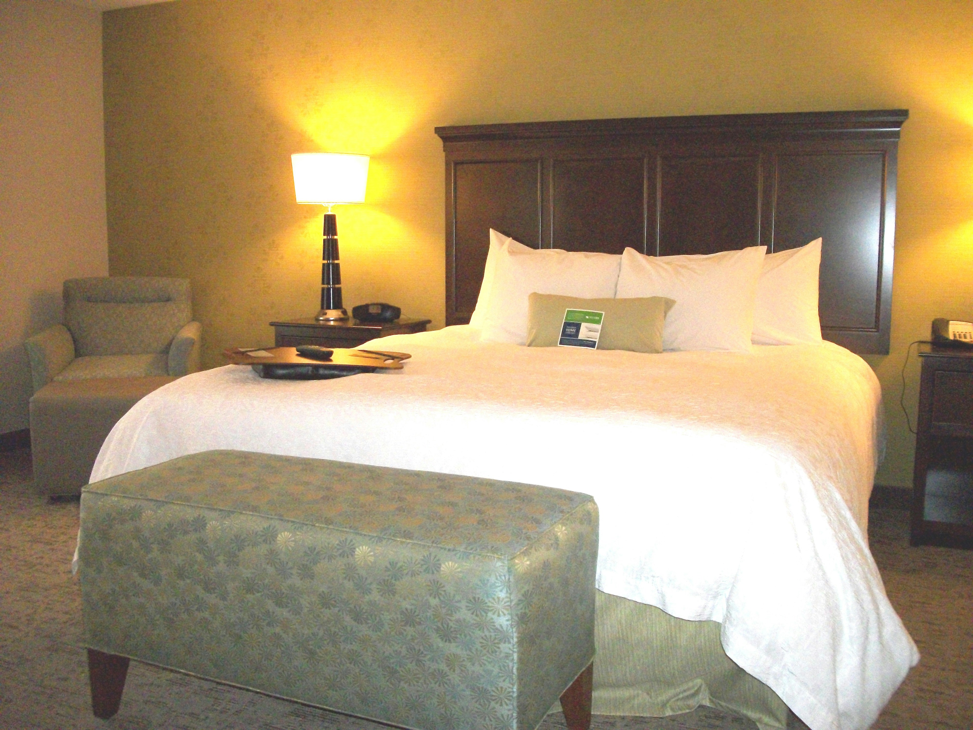 Hampton Inn Suites Manteca 15/50