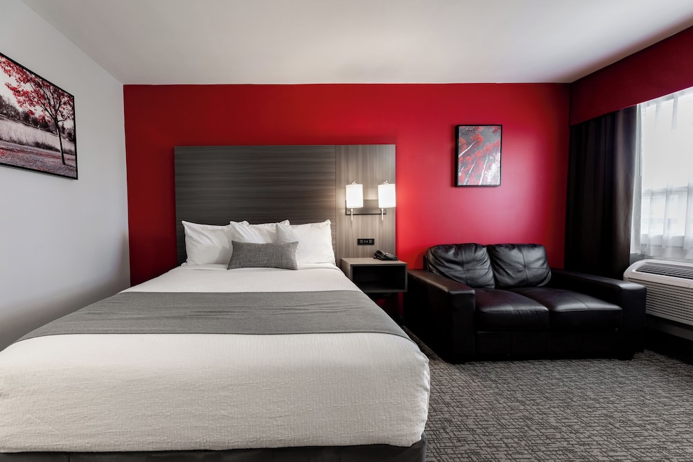 Room, Single, Queen Bed, Pet Friendly, Kitchenette, Exterior Entrance