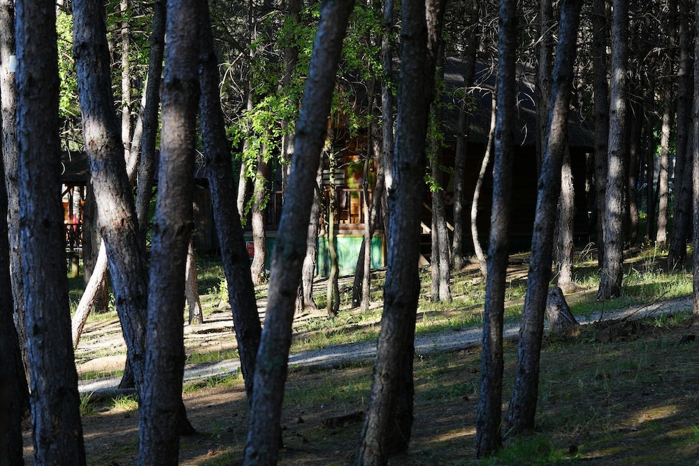 Campinari Doga Evleri & Restaurant 37/50