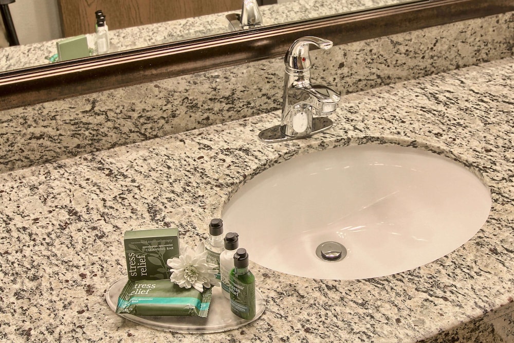 Blossom Hotel & Suites Traverse City 39/64