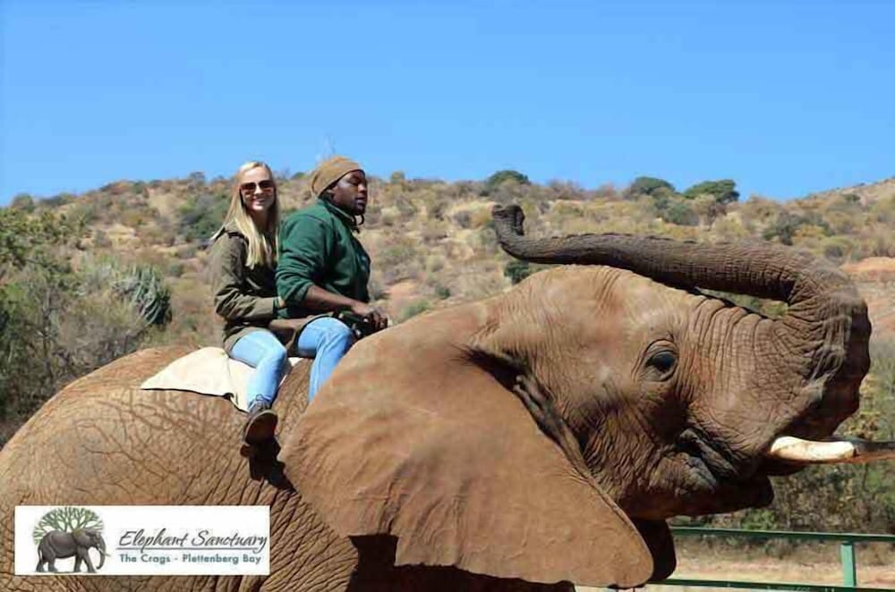 Elephant Country Guest House 16/19