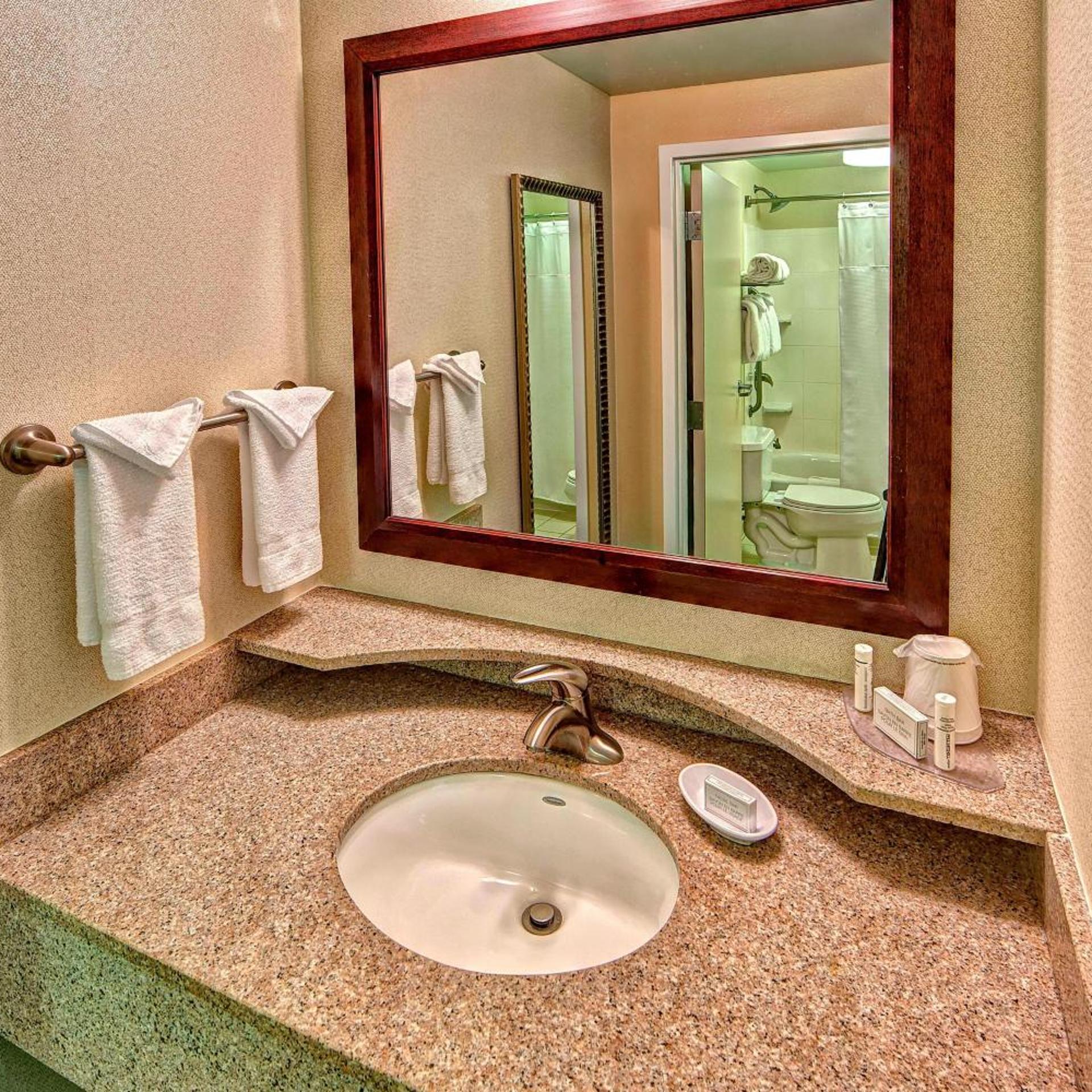 1 Bedroom, Vip, Suite, King Bed, Sofa