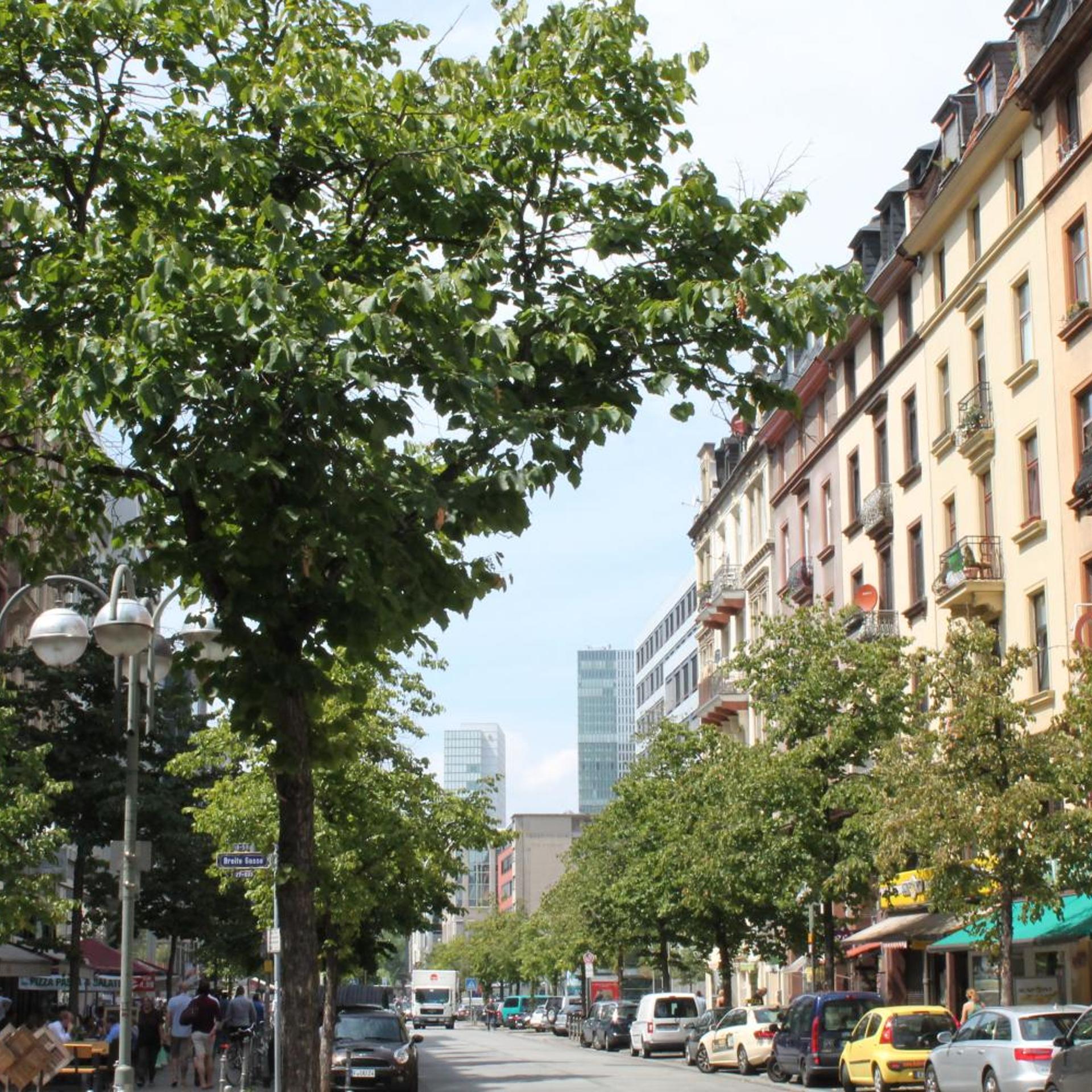 Zeil 47/50
