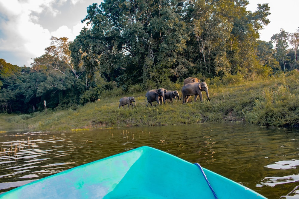 Wild Glamping Gal Oya 44/50