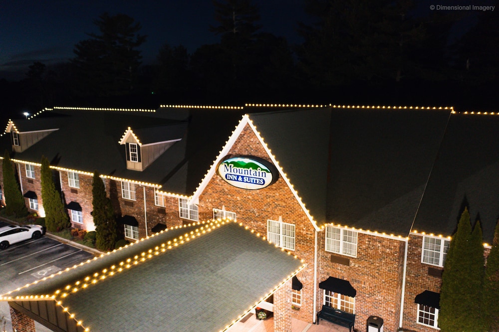 Mountain Inn & Suites Flat Rock 9/53