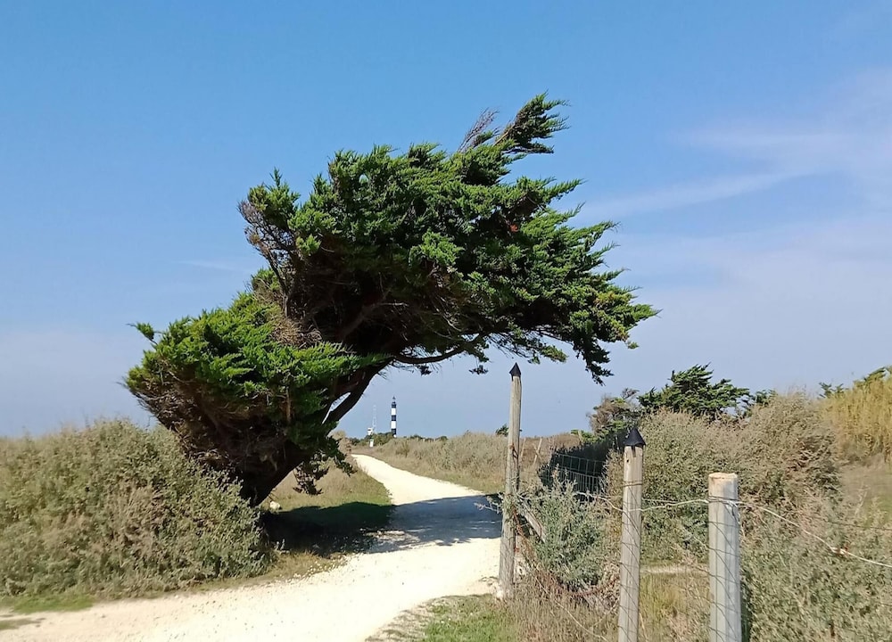OLYDEA Oleron Les sables Vignier 54/58