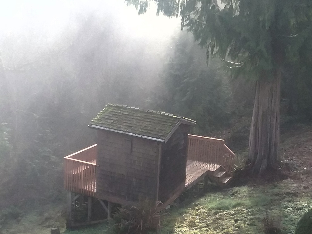 MapleRidge House: A BnB For All Seasons 3/50