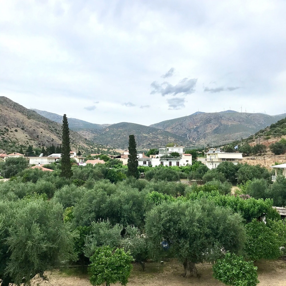 Paradisos Hotel 39/50