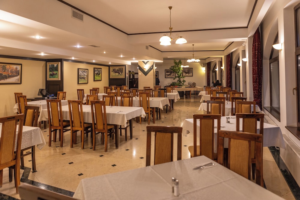 Hotel Casa Viorel 28/50