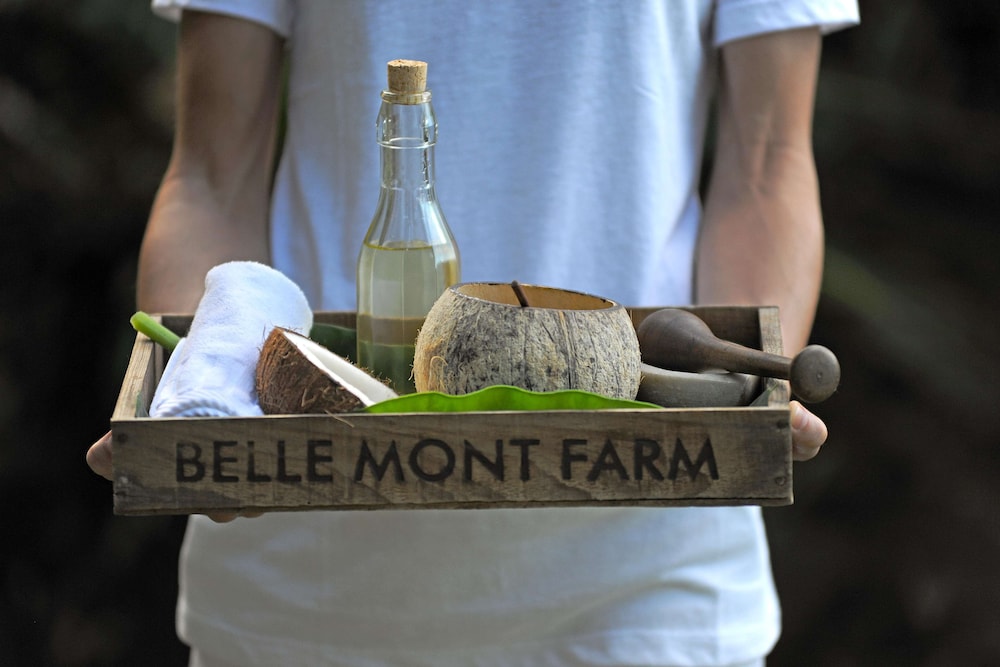 BELLE MONT FARM 19/50
