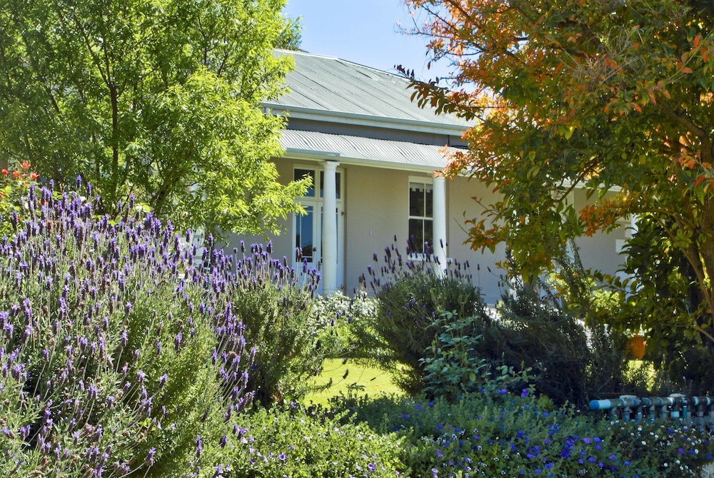 Montagu Vines Guest House 39/50