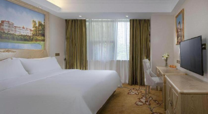 Vienna Hotel (Shenzhen Window of the World, Qiaocheng East Metro Station) 34/59