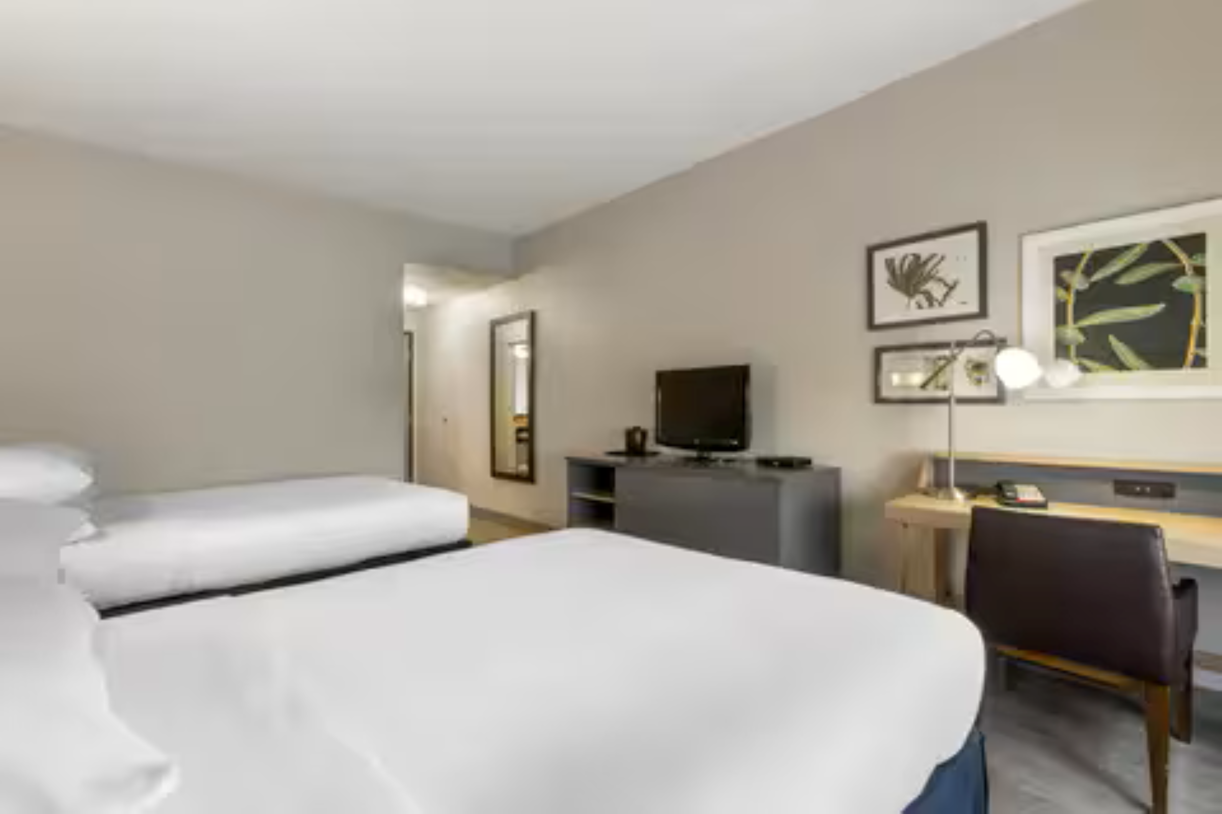 Suite, 2 Queen Beds