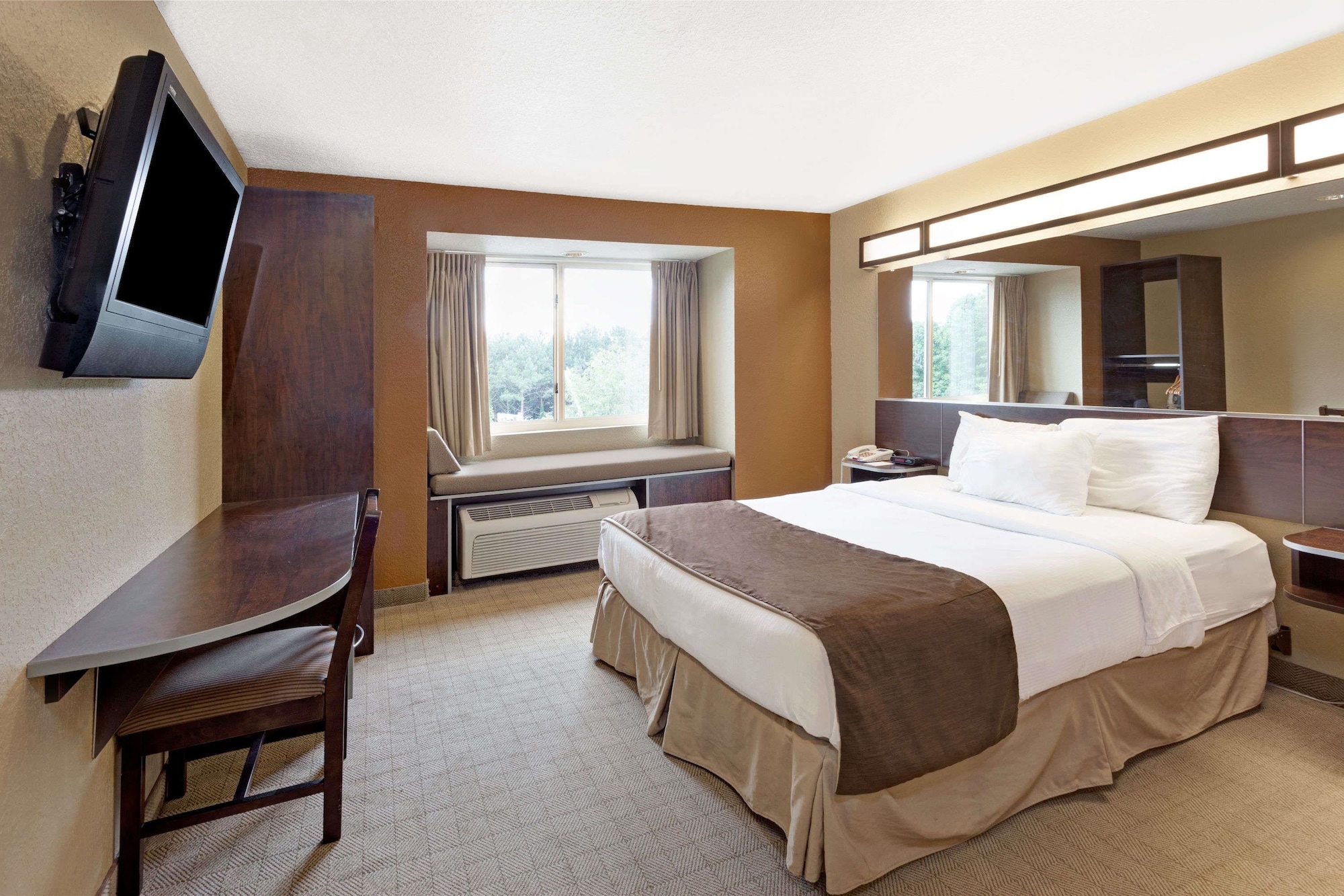 Suite, Queen Bed