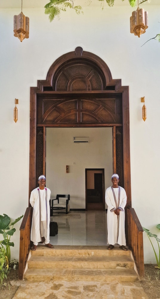 Dream of Zanzibar 8/50