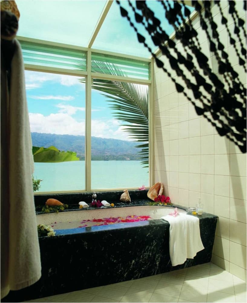 Badian Island Wellness Resort 19/50