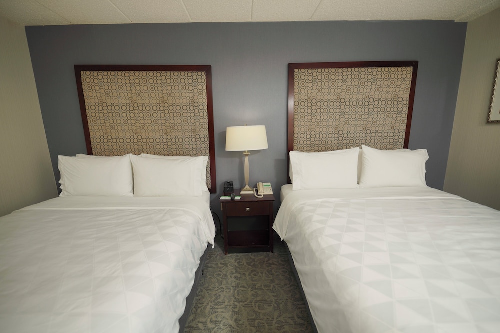 Suite, 2 Queen Beds