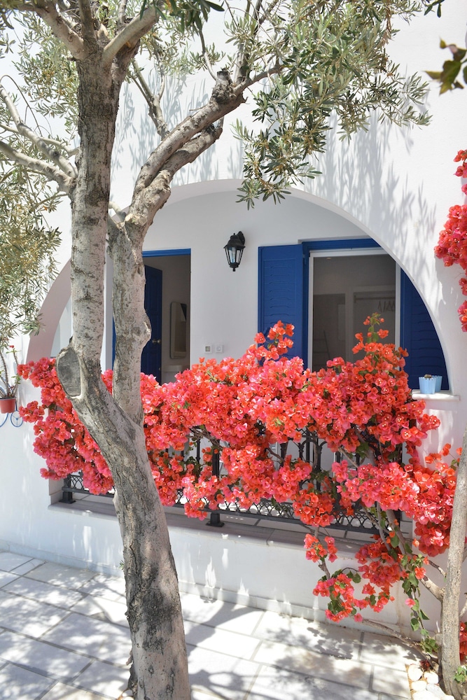 Dedalos Studios Naxos 41/50