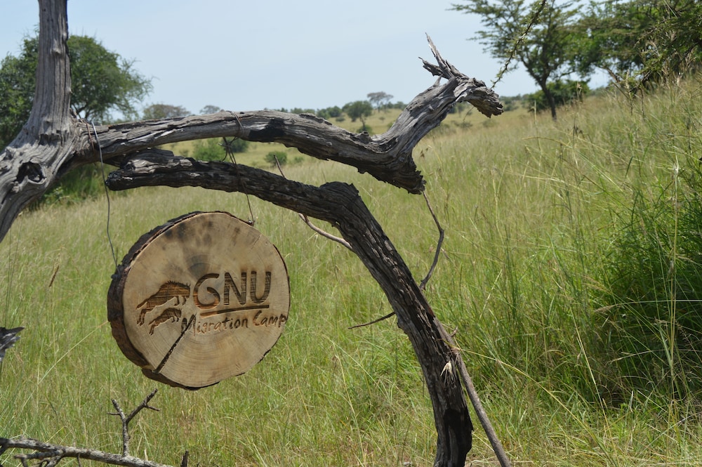 Gnu Mara River Camp 17/50