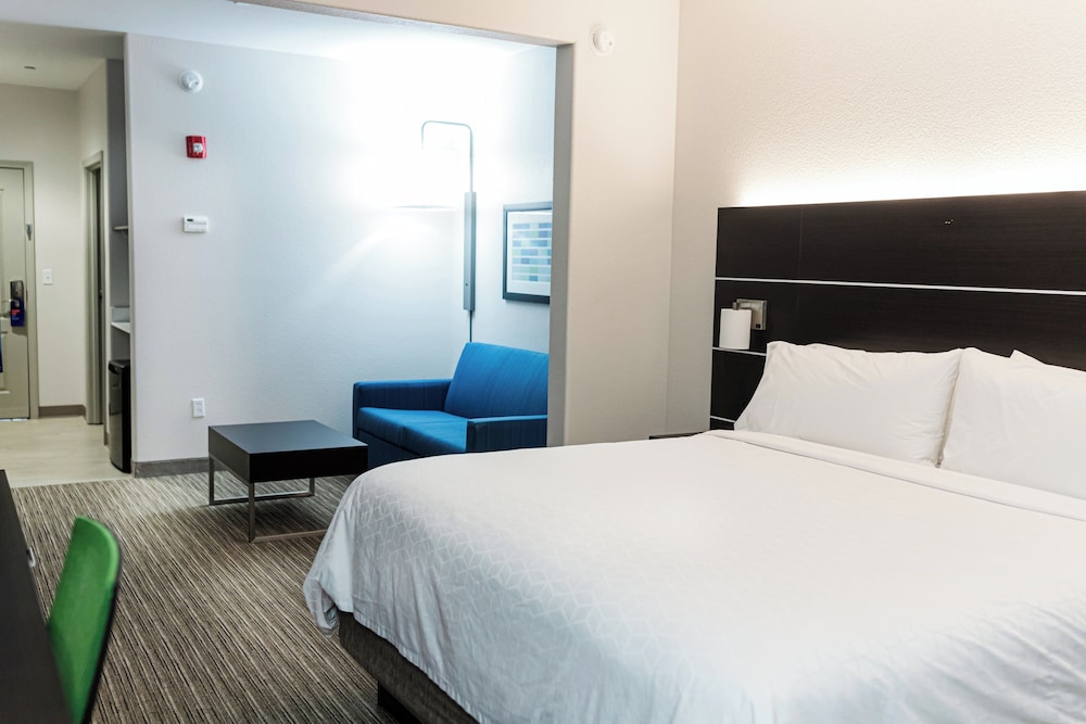 Holiday Inn Express Hotel and Suites Greenville 29/64