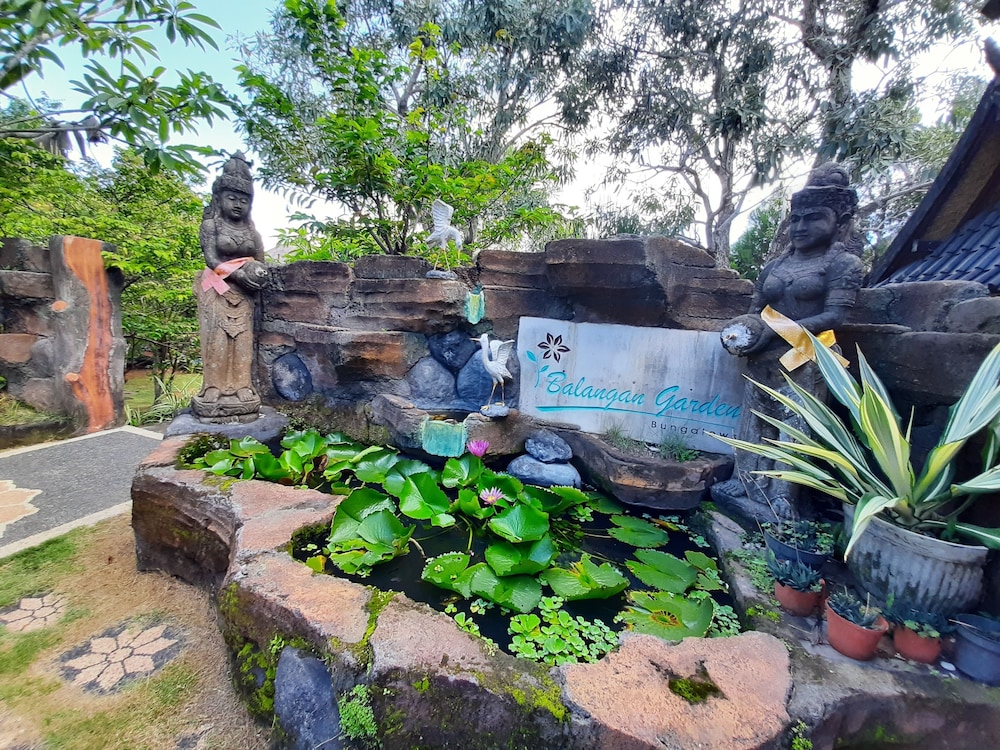 Olo Surf & Nature - Balangan 30/35