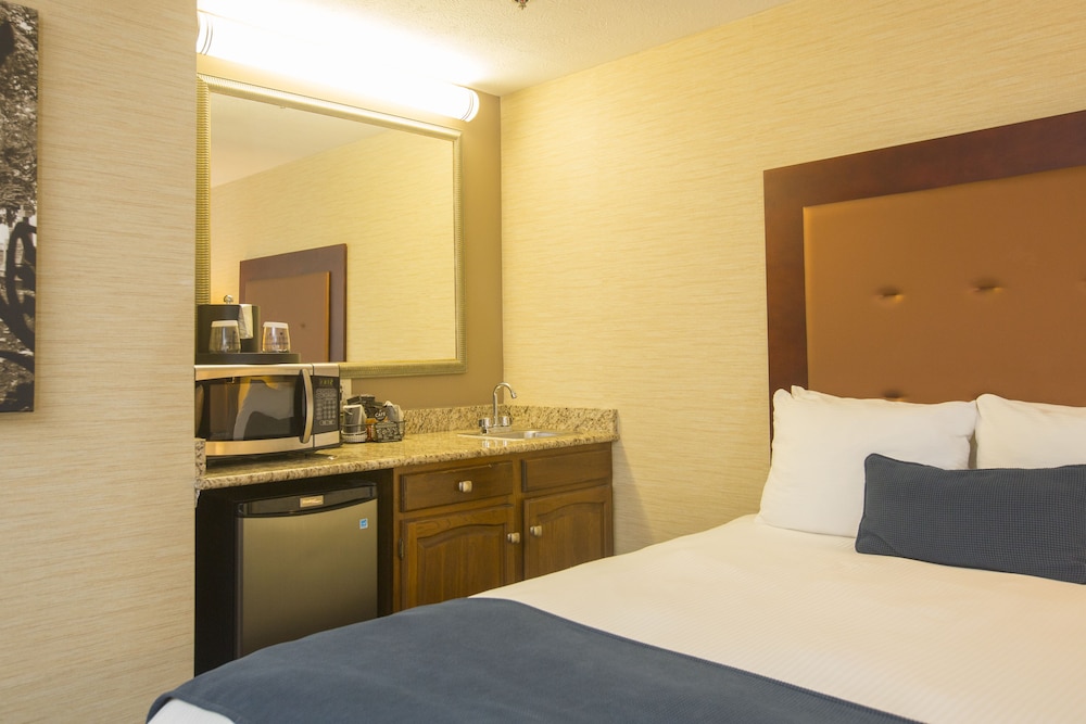 Ivy Court Inn And Suites 16/49