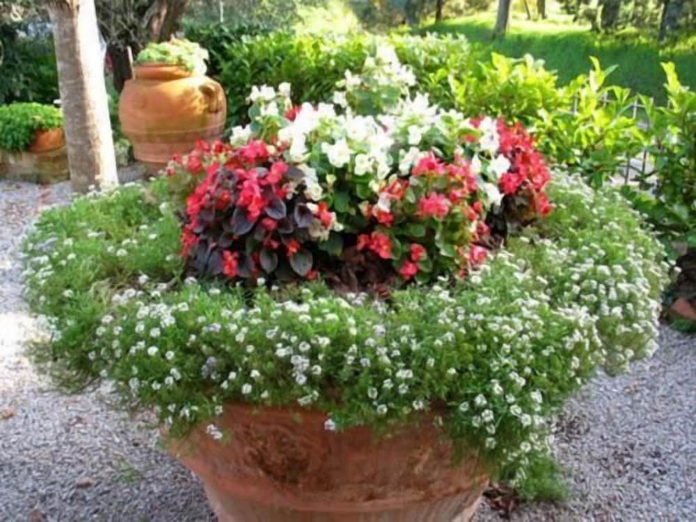 B&B Le Logge Di Sopra 29/42