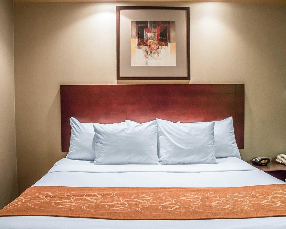Comfort Suites Perrysburg - Toledo South 11/49