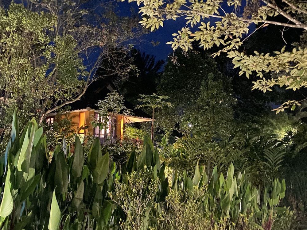 PURA VIDA PAI RESORT 60/65