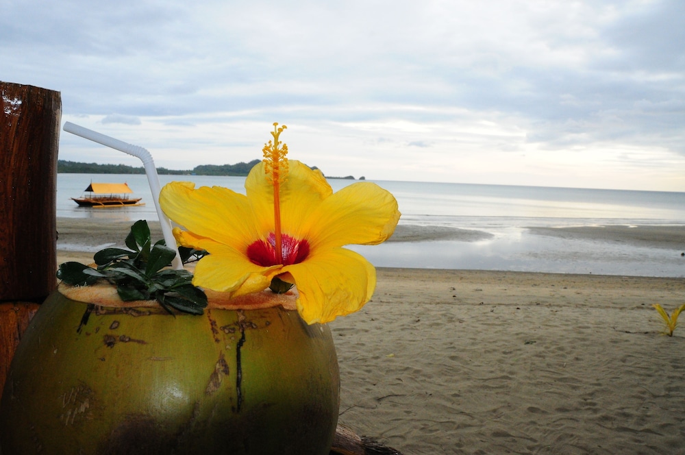 Nabulao Beach And Dive Resort 57/70