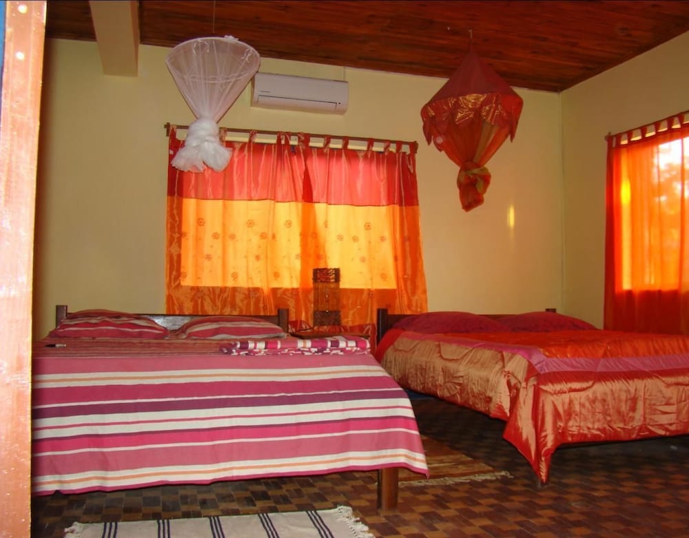 Reva Castel 13/50